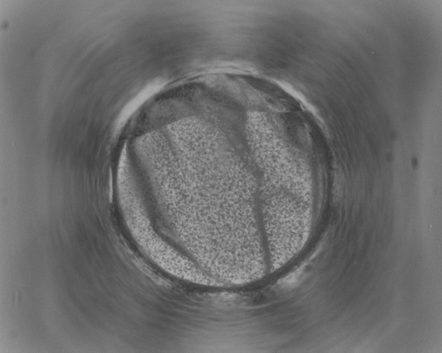 X0000060791317200512082114