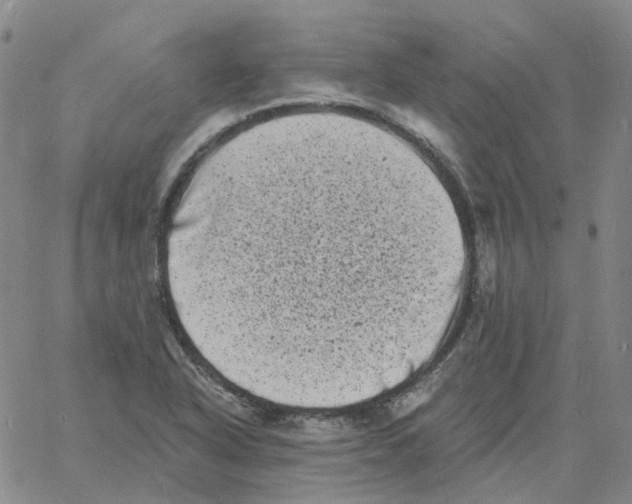 X0000060791318200512082114