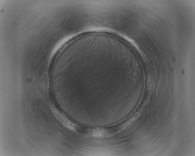 X0000060791319200512082114