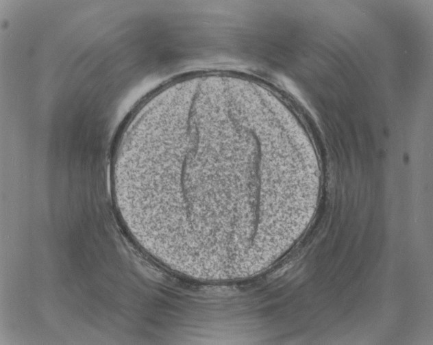 X0000060791320200512082114