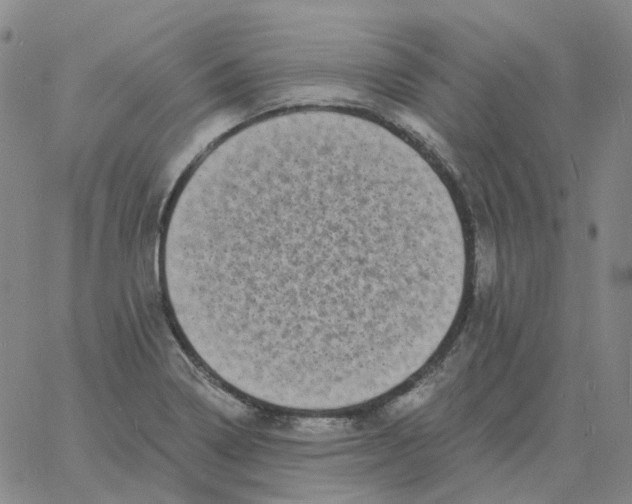 X0000060791322200512082114