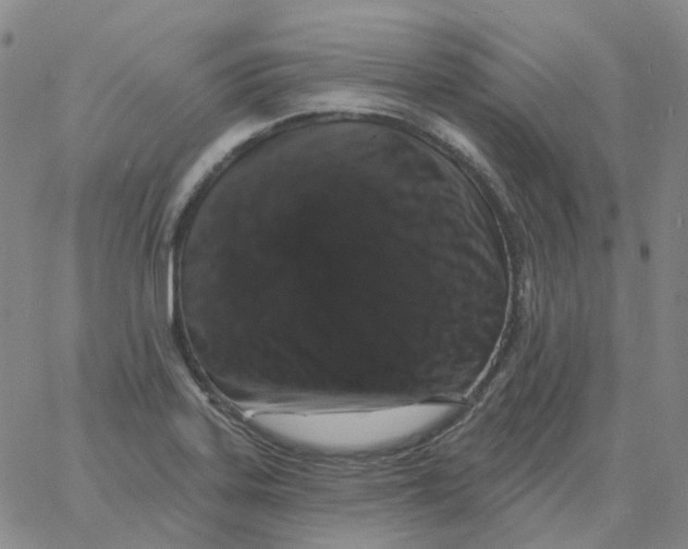 X0000060791323200512082114