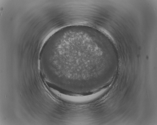 X0000060791324200512082114