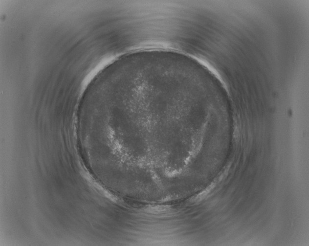 X0000060791325200512082114