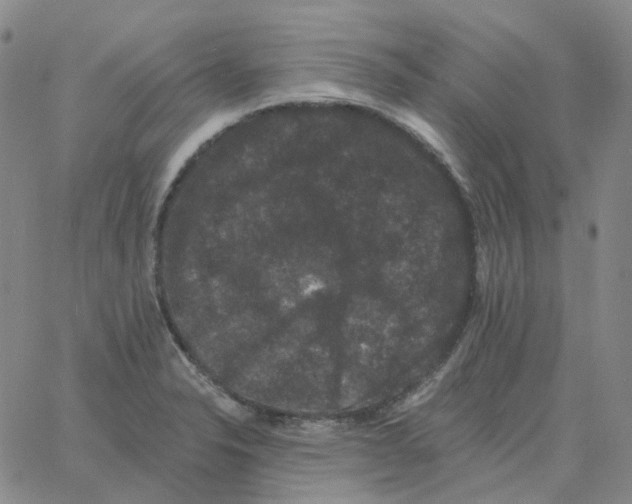 X0000060791326200512082114