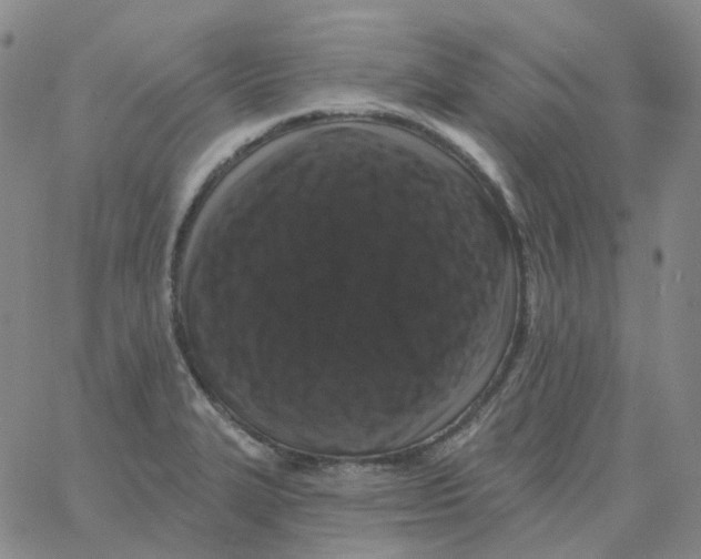 X0000060791327200512082114