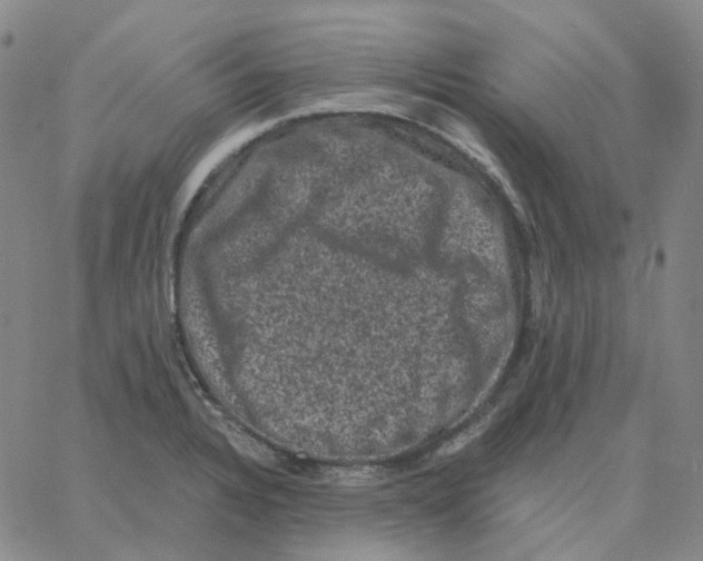 X0000060791328200512082114