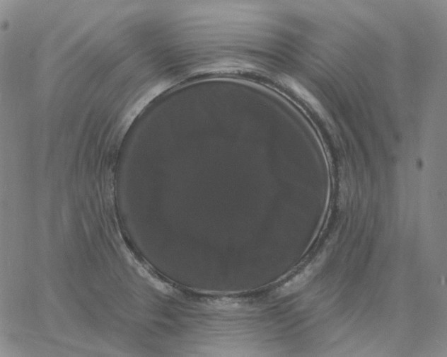 X0000060791329200512082114