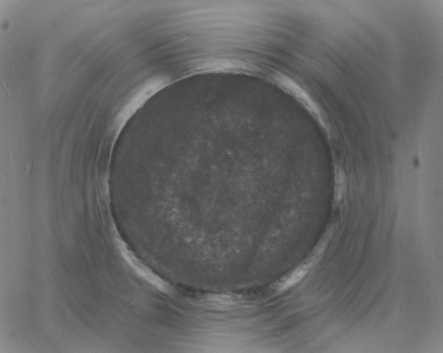 X0000060791330200512082114