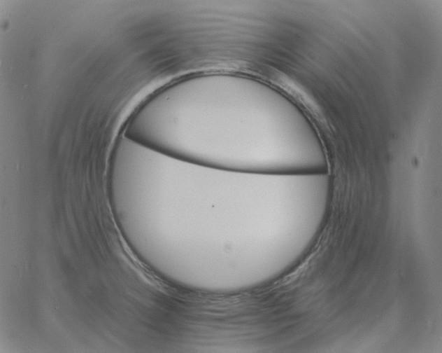 X0000060791332200512082114