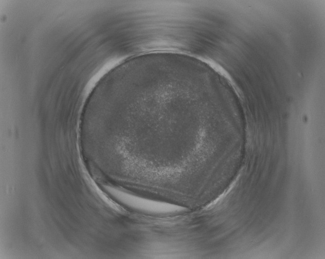 X0000060791333200512082114