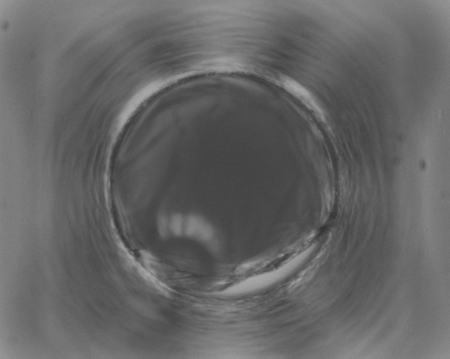 X0000060791334200512082114