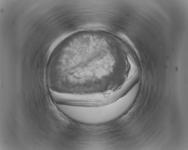 X0000060791336200512082114