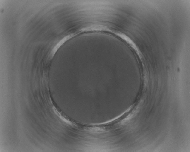 X0000060791337200512082114