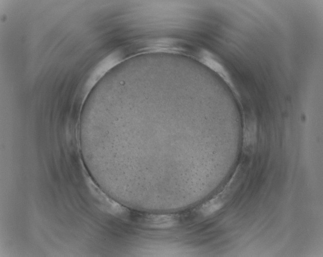 X0000060791338200512082114