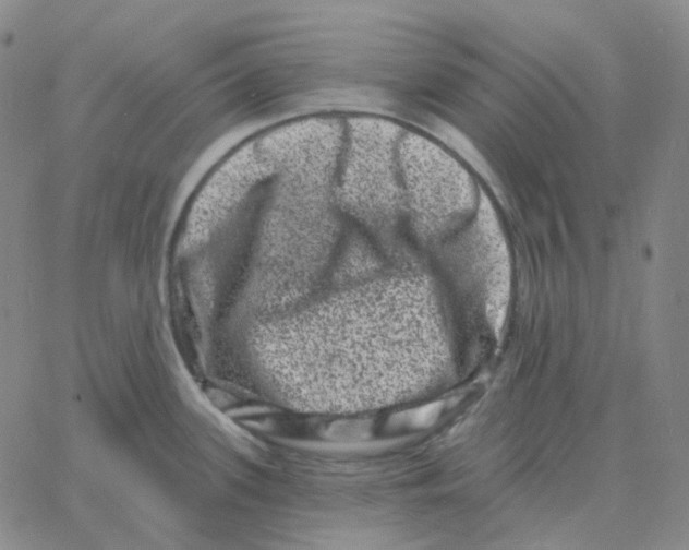 X0000060791339200512082114