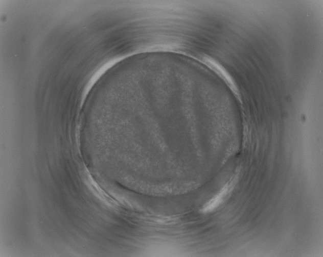 X0000060791340200512082114