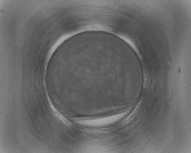 X0000060791342200512082114