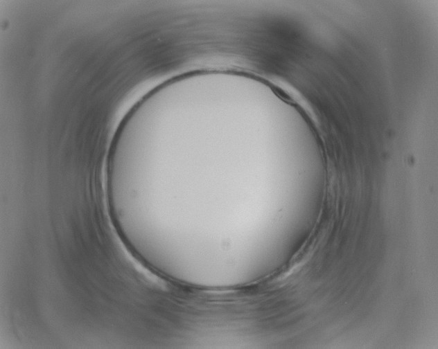 X0000060791343200512082114