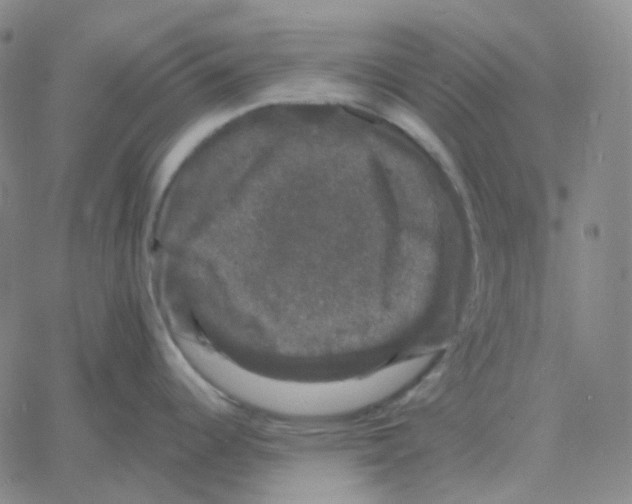 X0000060791344200512082114