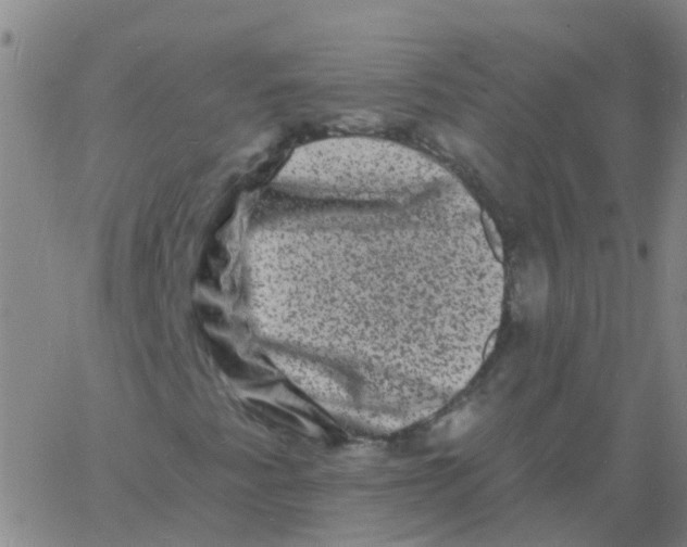 X0000060791345200512082114