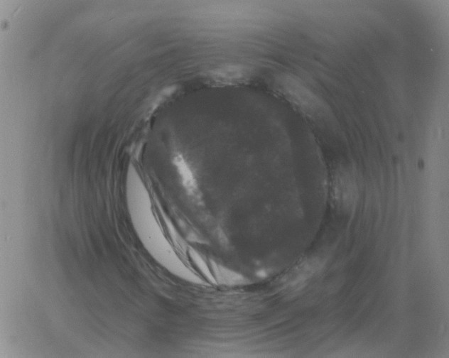 X0000060791346200512082114