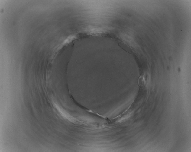 X0000060791348200512082114