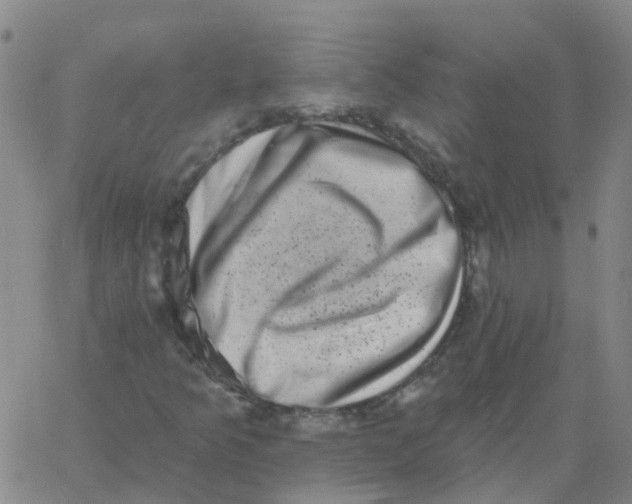 X0000060791349200512082114