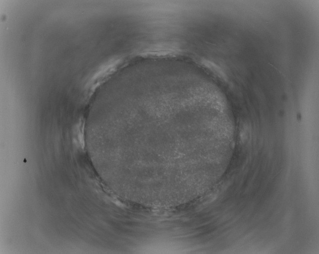 X0000060791350200512082114