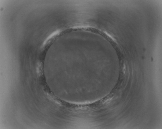 X0000060791351200512082114