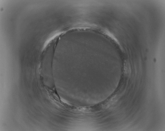 X0000060791352200512082114