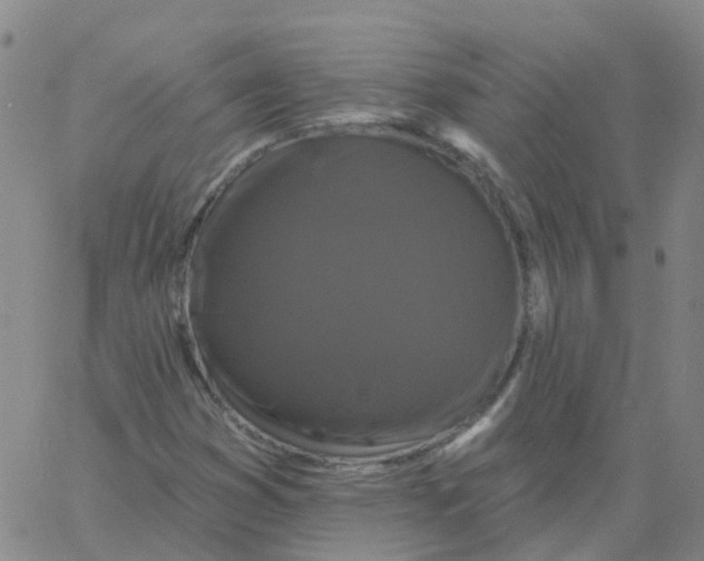 X0000060791353200512082113