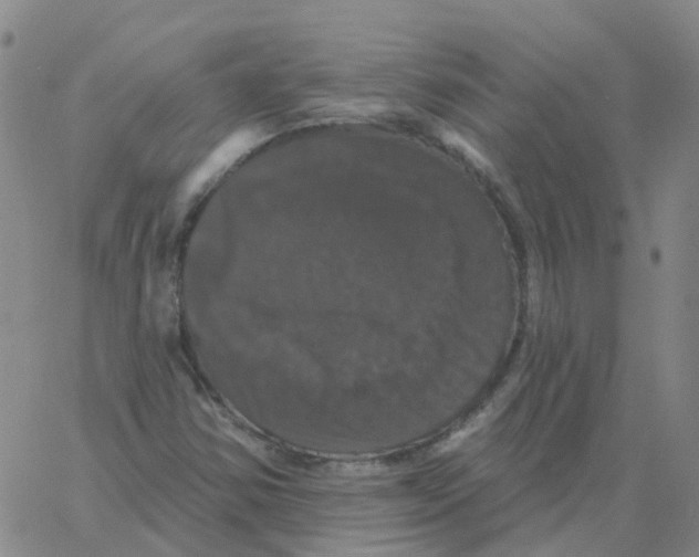 X0000060791354200512082113