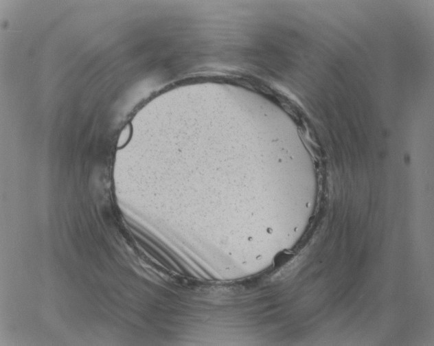 X0000060791355200512082113