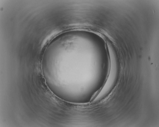 X0000060791357200512082113