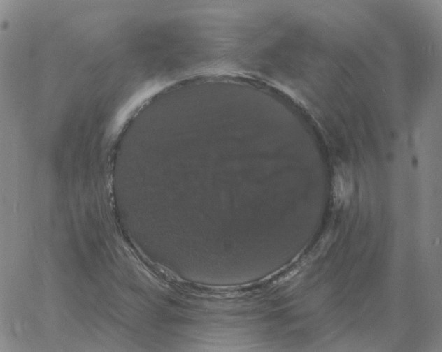 X0000060791359200512082113