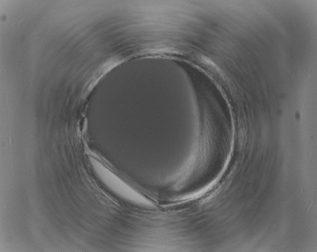 X0000060791361200512082113