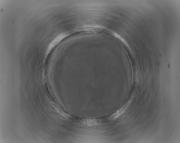 X0000060791362200512082113