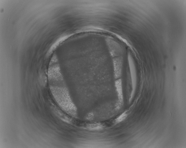 X0000060791363200512082113