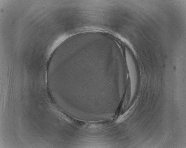 X0000060791365200512082113