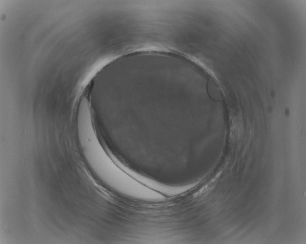 X0000060791367200512082113