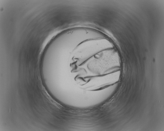 X0000060791368200512082113