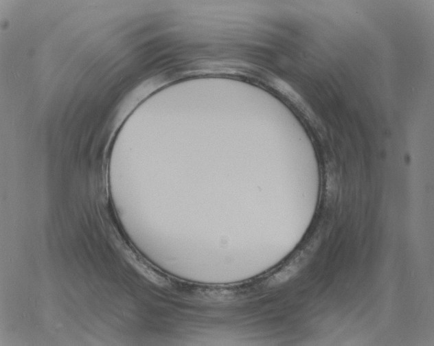 X0000060791370200512082113