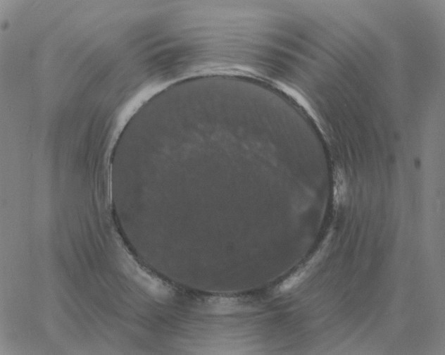 X0000060791371200512082113