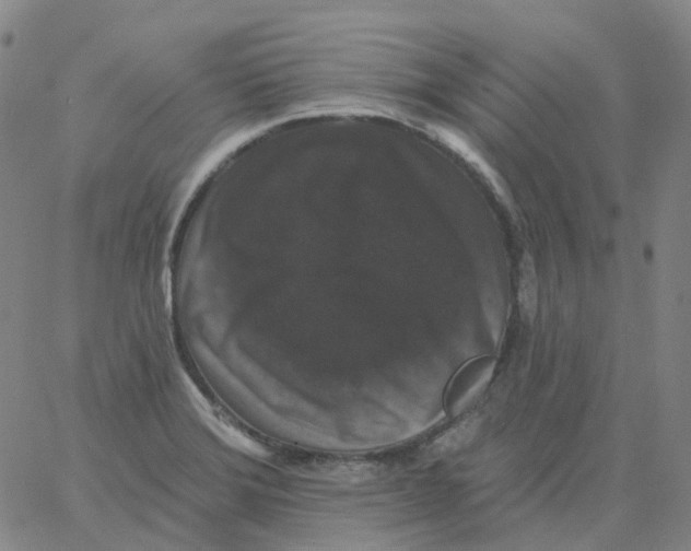 X0000060791372200512082113