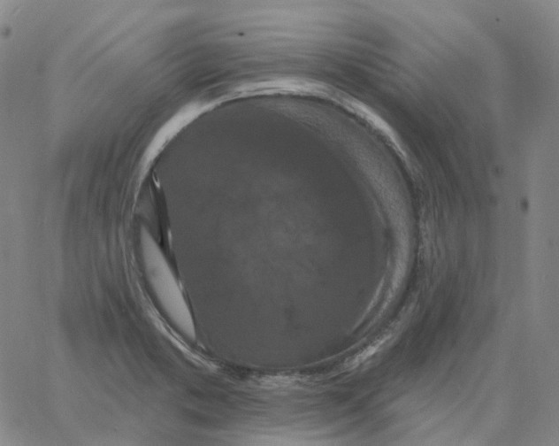 X0000060791373200512082113