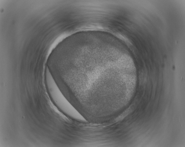 X0000060791374200512082113