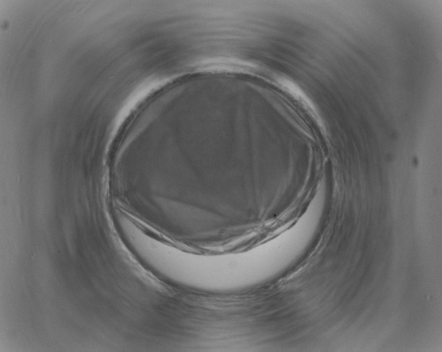 X0000060791376200512082113