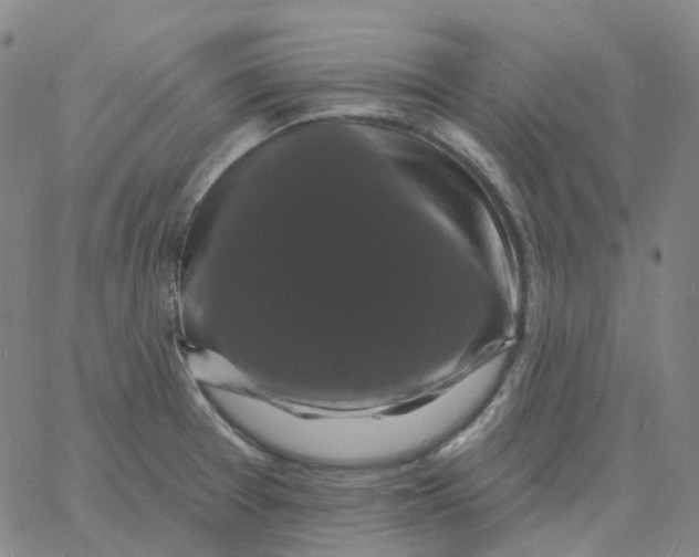 X0000060791377200512082113