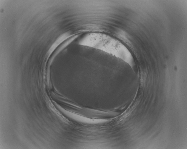 X0000060791378200512082113